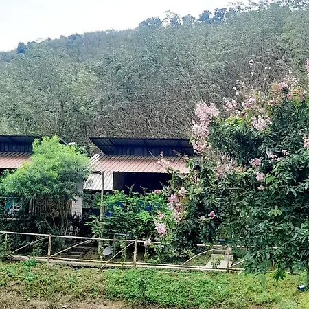 Koh Mook Bamboo Bungalows Esterno foto