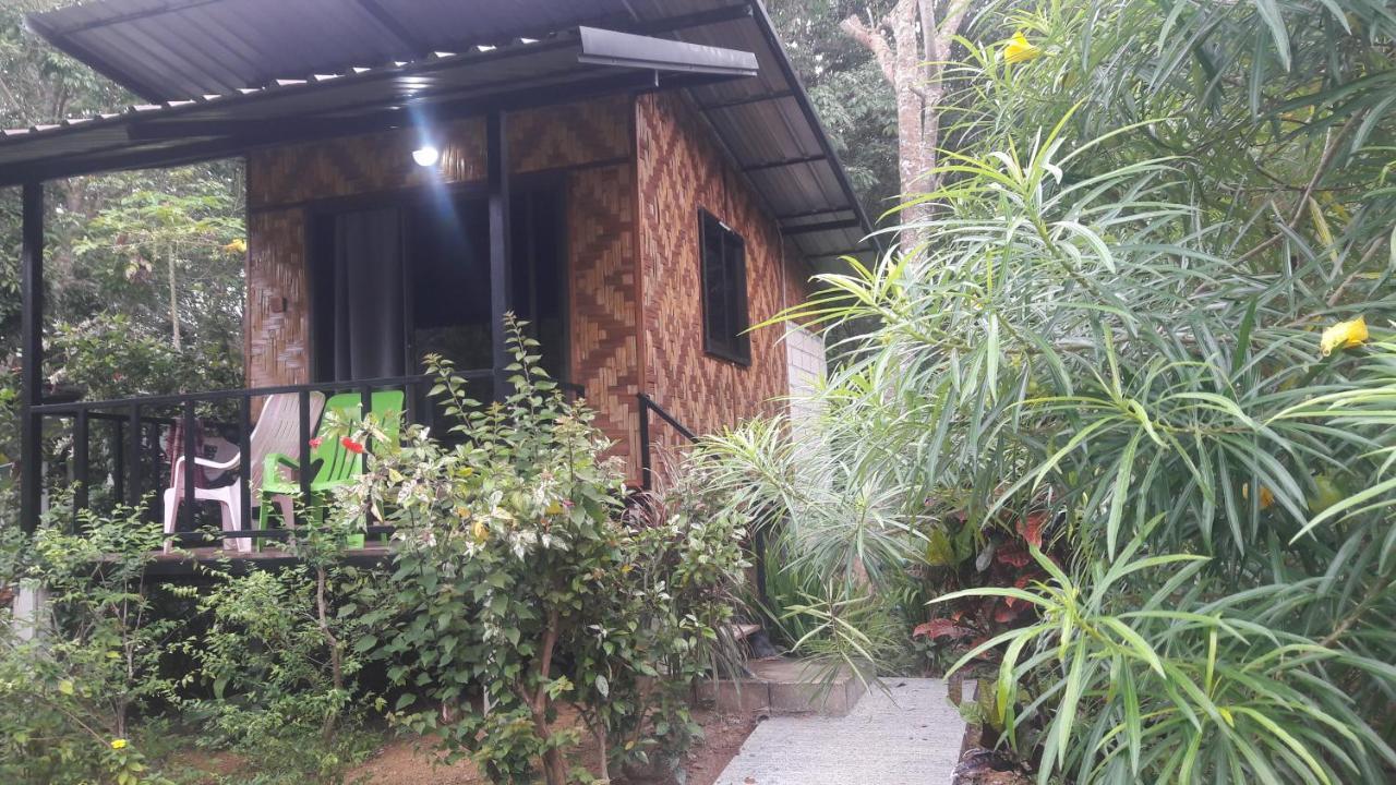 Bamboo Lodge